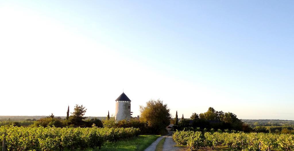 La Tour Du Moulin Geant Bed & Breakfast Rochefort-sur-Loire Exterior photo